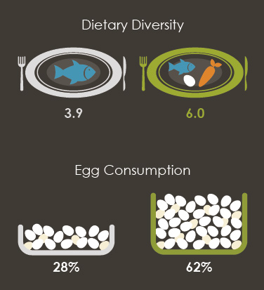 Illustrations showing Dietary Diversity and Egg Consumption.