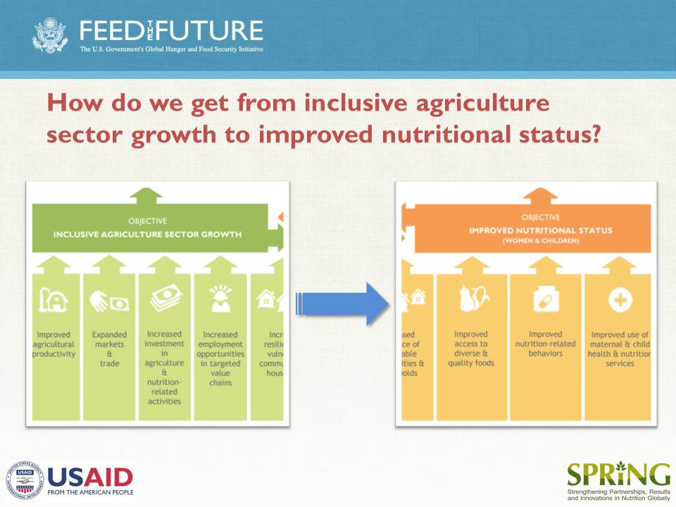 Maximizing Nutrition Impact through Feed the Future