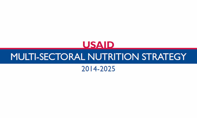 USAID Multisectoral Nutrition Strategy