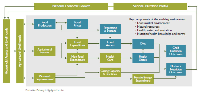  The Food Production Pathway