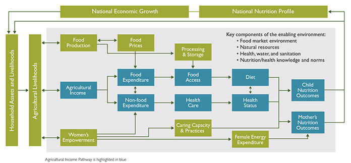  The Agricultural Income Pathway