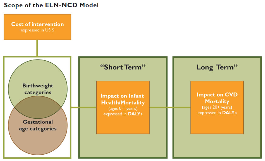 Scope of the ELN-NCD Model