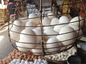 Photo of eggs in a basket at a market.