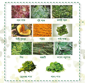 Section of the poster depicting various nutritious plants