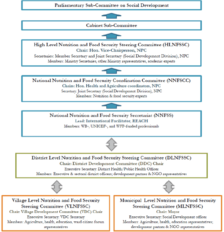  MSNP Governance Structure