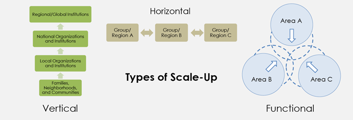 Figure 1. Scale-Up Conceptual Framework