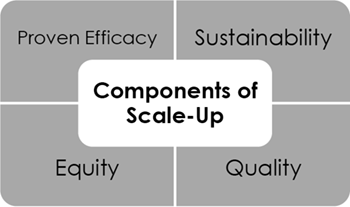 Second part of Figure 1. Scale-Up Conceptual Framework