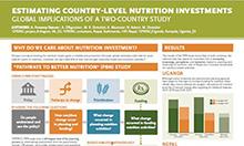 Estimating Country-Level Nutrition Investments: Global Implications of a Two-Country Study