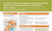 From Policy to Practice: Learning from the Multi-sectoral Uganda Nutrition Action Plan Implementation in Kisoro District