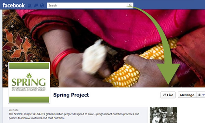 SPRING Project cover image