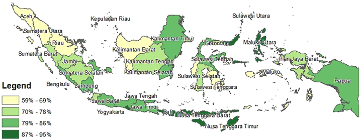 Figure 3. Percentage of Women Who Had at Least One ANC Visit and Received at Least One IFA Tablet by Region, Indonesia, 2007