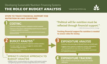 Developing Sustainable Nutrition Financing Systems: The Role of Budget Analysis