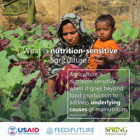 A woman crouches in her vegetable garden and holds her toddler son. She is focused on the plants while he is focused on the camera. The text overlay says: What is nutrition-sensitive agriculture? Agriculture is nutrition-sensitive when it goes beyond food production to address underlying causes of malnutrition.