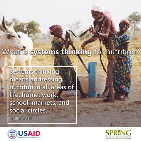 Two young girls and an adolescent girl laugh as they connect straps to buckets to put over the goat standing next to them. The overlay text says: What is systems thinking for nutrition? Systems thinking means addressing nutrition in all areas of life: home, work, school, markets, and social circles. 