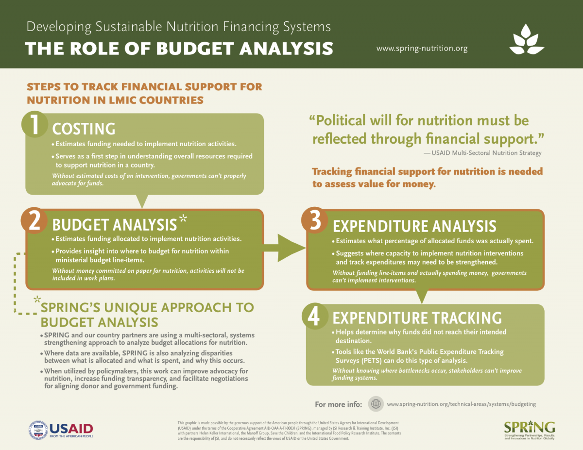 The Role of Budget Analysis