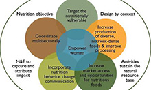 Key Guiding Principles to Improve Nutrition Impact through Agriculture, adopted from (FAO, 2013a)