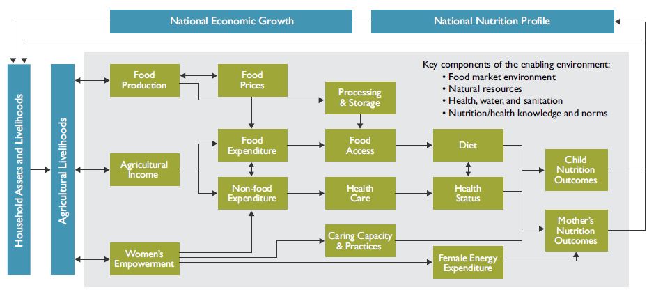 Figure 1. The conceptual pathways between agriculture and nutrition