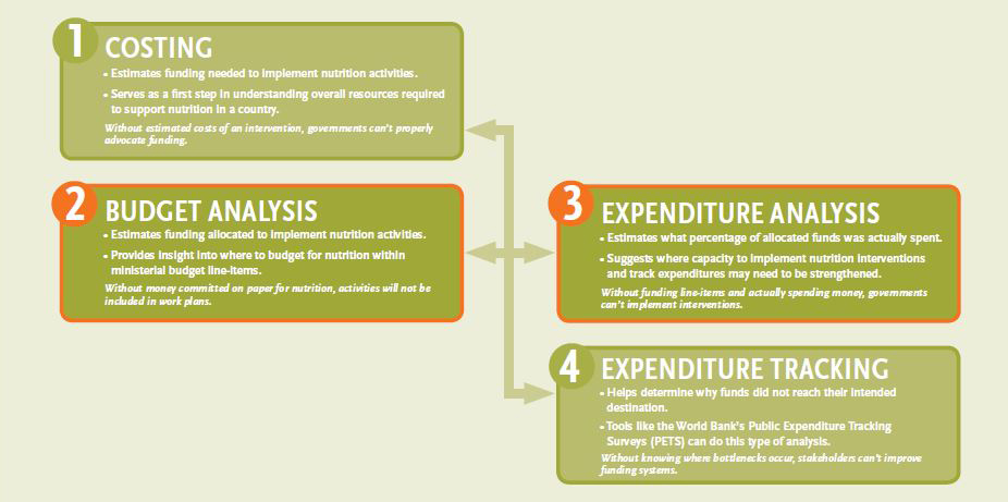 Figure 1 outlining costing, budget analysis, expenditure analysis, and expenditure tracking. See PDF for full text. 