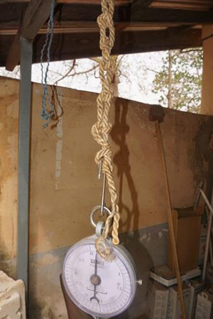 Photo of a scale hanging.