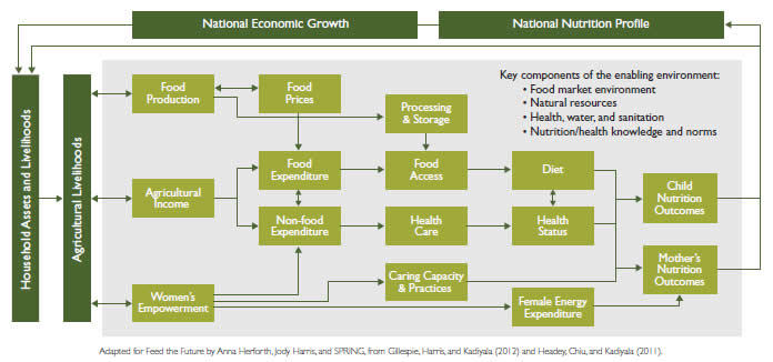 Figure. Conceptual Pathways between Agriculture and Nutrition