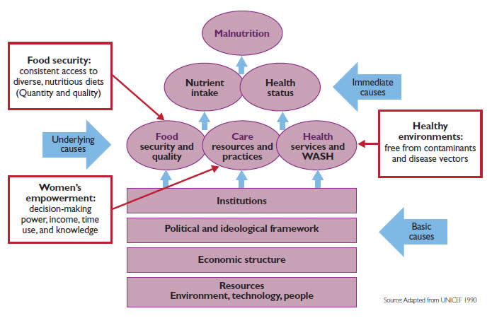 UNICEF Framework for Malnutrition