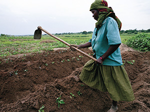 Woman in a field with a hoe © Scott Wallace/World Bank