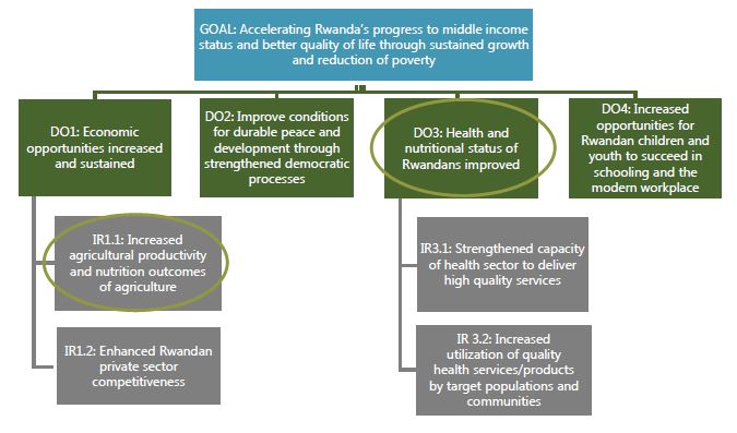 Figure 1. USAID Rwanda Results Framework