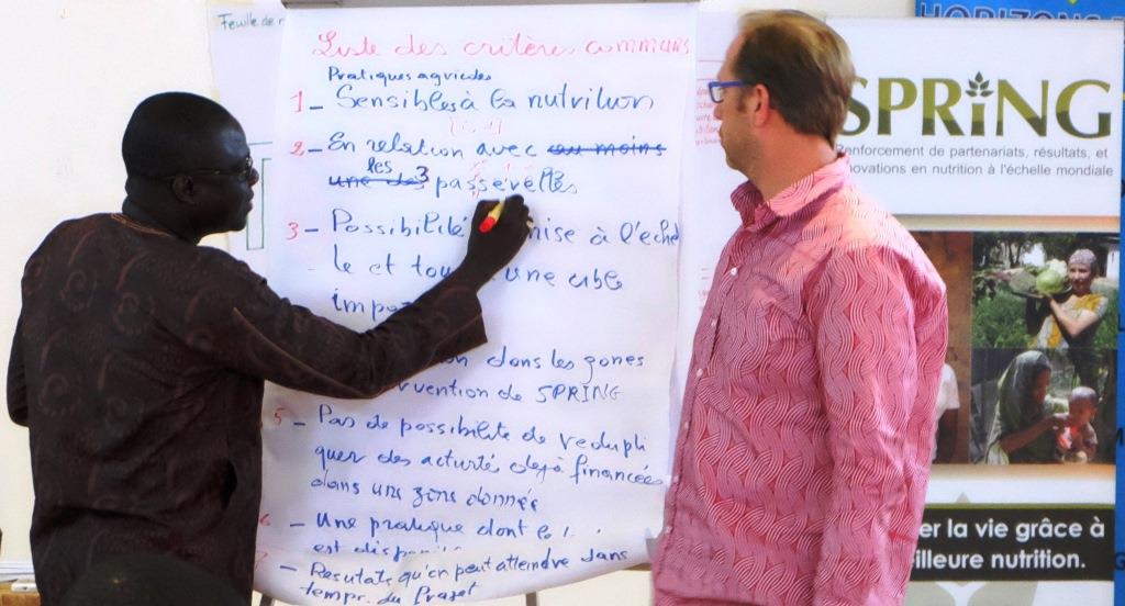 At the end of the workshop, participants discussed key practices among partner programs that could facilitate future SPRING/Senegal programming.