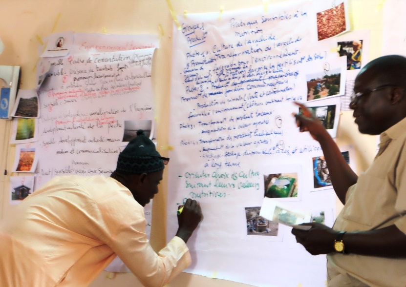 Aliou Babou, Agriculture Advisor, guides workshop participants through the identification of nutrition-specific and nutrition-sensitive practices. 