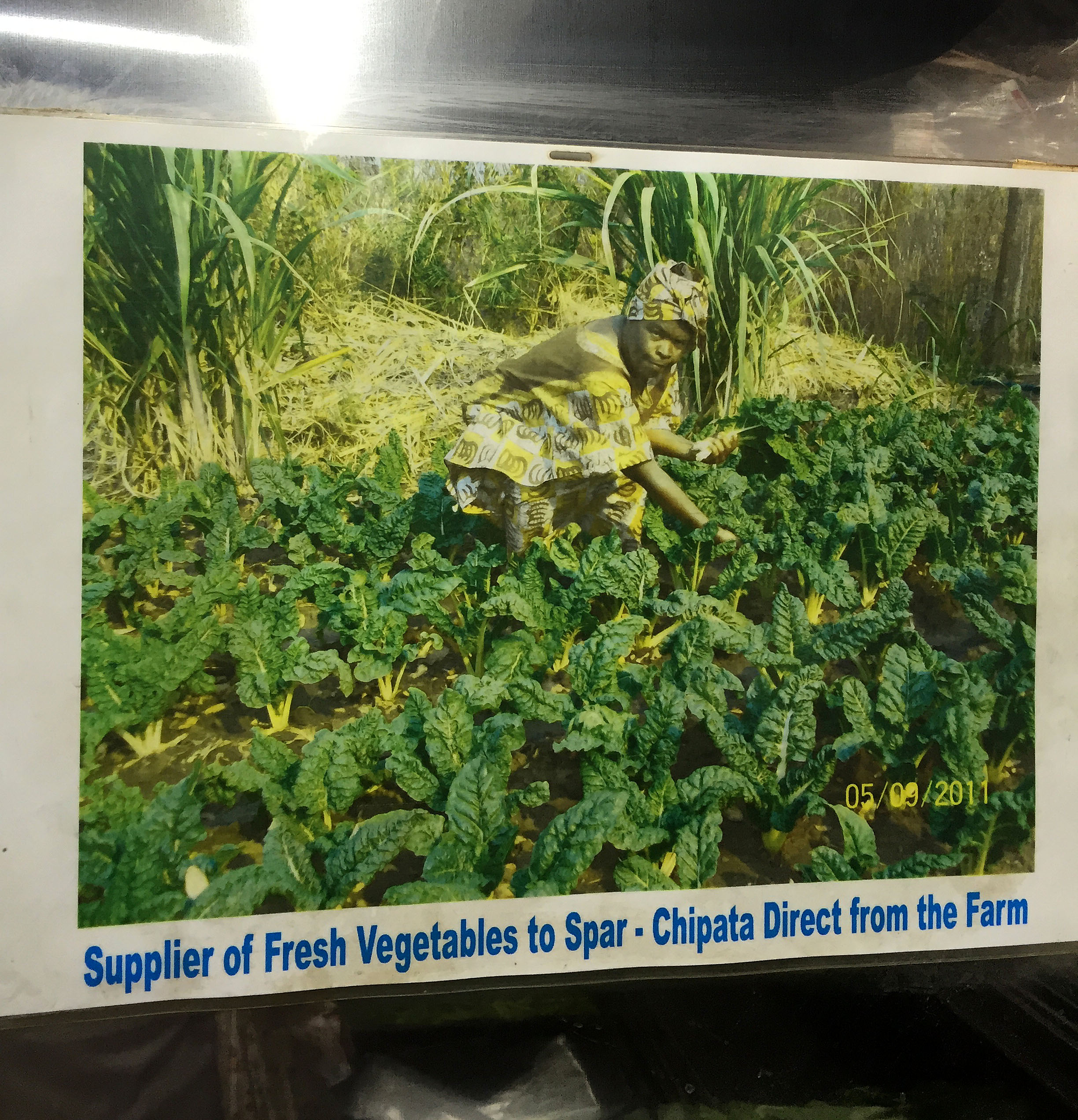 An advertisement by the vegetable shelves of SPAR -- a supermarket -- in Zambia shows local farmers who supply the fresh produce available in this market.