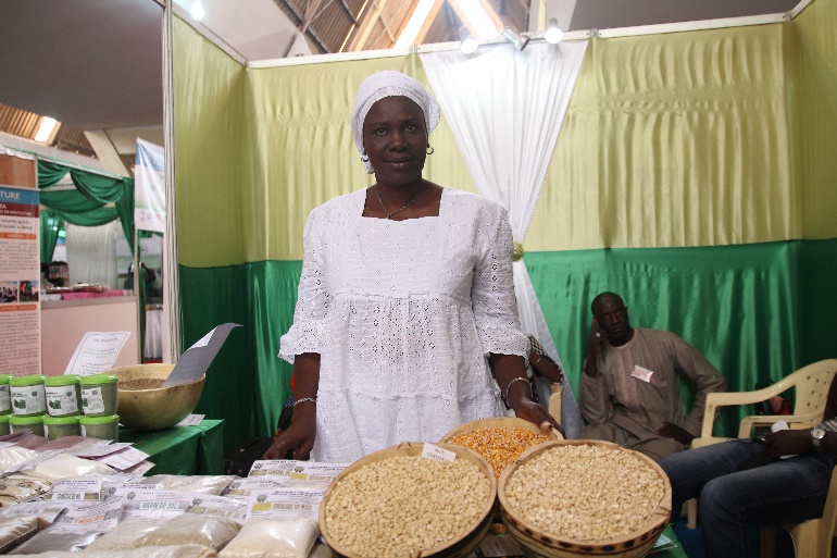 SPRING/Senegal partner, Mme Amy Sarr Ndao, shows of high-nutrient, biofortified Obatampa maize.