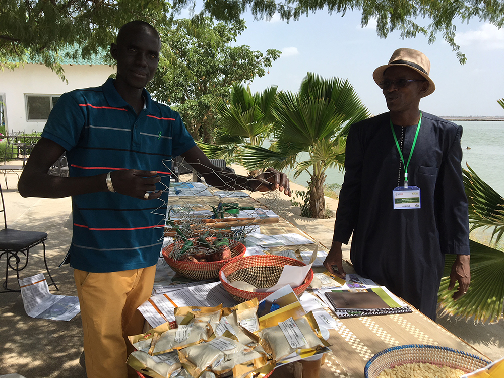 One of SPRING/Senegal’s partner CBSPs (community-based service providers) shows agricultural tools SPRING helped train him to produce.