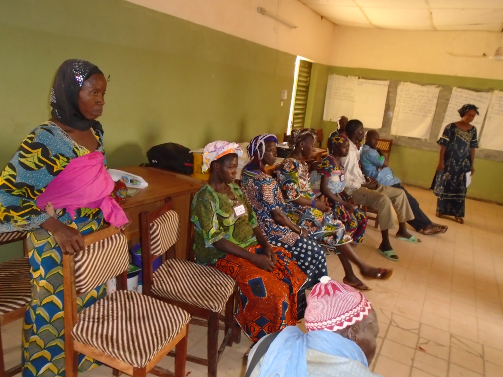 SPRING staff conducts a training on ENA/EHA for community volunteers  in Bandiagara (June 2015)