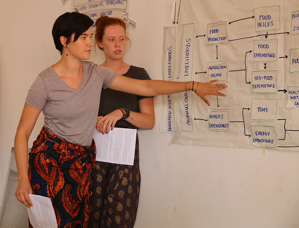 Peace Corps volunteers, Mackenzie and Lucy, explain how their group’s section of the SPRING Guinea Nutrition Assessment relates to the pathways connecting agriculture and nutrition. 