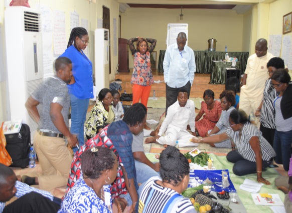 Practical sessions in the LOPIN master training of trainers are held in Lagos. 2015