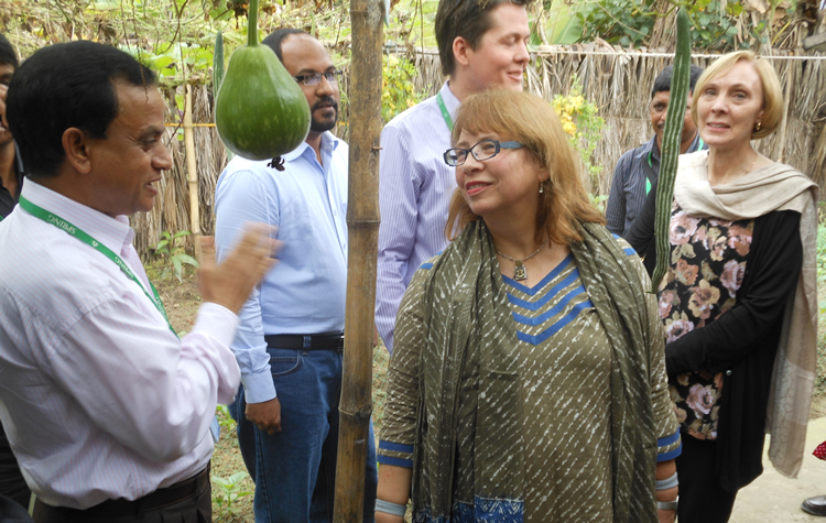 USAID/Bangladesh Mission Director, Janina Jaruzelski, speaking with SPRING Khulna Division Manager, Nazmul Huda, about homstead food production