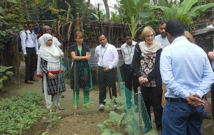 VIP USAID delegation visiting a graduated FNS household in Bahirdia Union of Bagerhat in Khulna