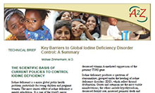 Technical Brief: Key Barriers to Global Iodine Deficiency Disorder Control: A Summary