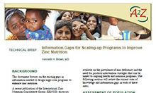 Technical Brief: Information Gaps for Scaling-up Programs to Improve Zinc Nutrition