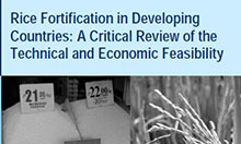Rice Fortification in Developing Countries: A Critical Review of the Technical and Economic Feasibility, April 2008