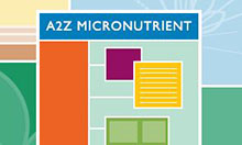 Micronutrients Global Toolkit 