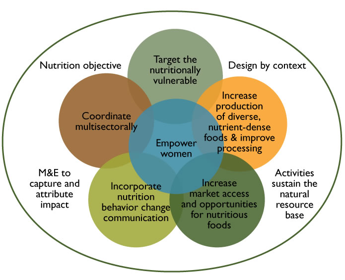 FIGURE 1. SIX KEY GUIDING PRINCIPLES TO IMPROVE NUTRITION IMPACT THROUGH AGRICULTURE