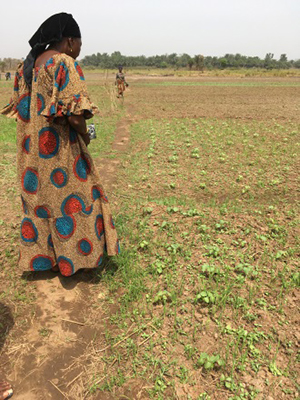 Photo of a woman standing in a field looking out.