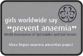 girls worldwide say prevent anaemia program logo