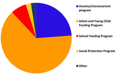 Integration of MNPs into programs, UNICEF Nutridash 2014