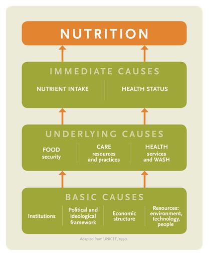 Figure 2: UNICEF conceptual framework of the determinants of nutrition