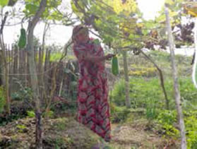 Rajopa tending to her homestead garden. She is able to meet a substantial portion of the family’s nutritional needs with produce from this garden.