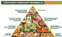 An image of the food pyramid