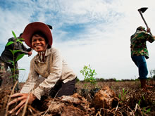 Woman and man in field. Credit: Cambodia HARVEST