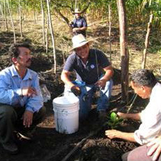 Photo of three people squatted around a bucket on the ground with another person in the background